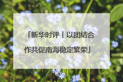 新华时评丨以团结合作共促南海稳定繁荣