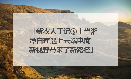 新农人手记⑤丨当湘潭白莲遇上云端电商 新视野带来了新路径