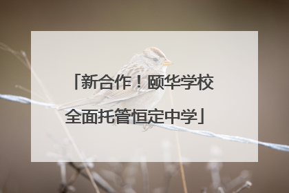 新合作！颐华学校全面托管恒定中学