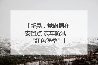 新晃：党旗插在安置点 筑牢防汛“红色堡垒”