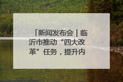 新闻发布会｜临沂市推动“四大改革”任务，提升内部审计监督效能