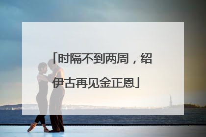时隔不到两周，绍伊古再见金正恩