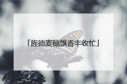 旌德麦穗飘香丰收忙