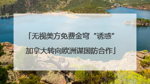 无视美方免费金穹“诱惑” 加拿大转向欧洲谋国防合作