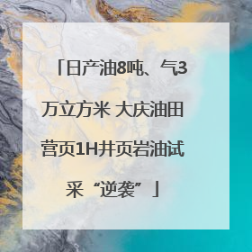 日产油8吨、气3万立方米 大庆油田营页1H井页岩油试采“逆袭”
