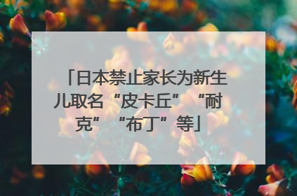 日本禁止家长为新生儿取名“皮卡丘”“耐克”“布丁”等