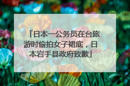 日本一公务员在台旅游时偷拍女子裙底，日本岩手县政府致歉