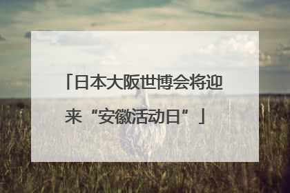 日本大阪世博会将迎来“安徽活动日”