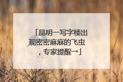 昆明一写字楼出现密密麻麻的飞虫，专家提醒→