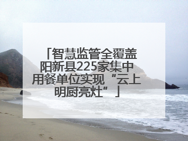 智慧监管全覆盖 阳新县225家集中用餐单位实现“云上明厨亮灶”