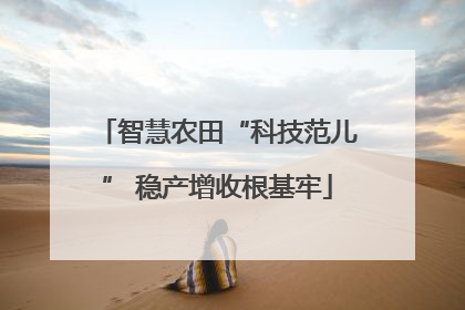 智慧农田“科技范儿” 稳产增收根基牢