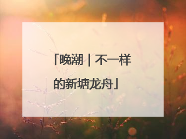 晚潮｜不一样的新塘龙舟