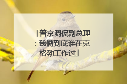 普京调侃副总理：我俩到底谁在克格勃工作过
