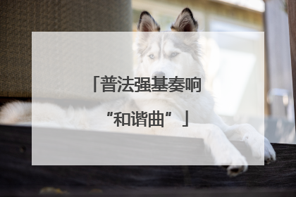 普法强基奏响“和谐曲”