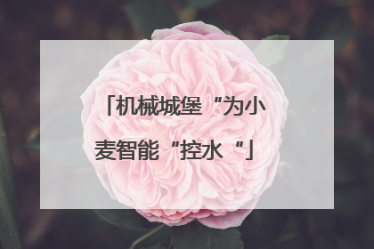机械城堡“为小麦智能“控水“