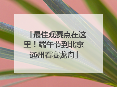 最佳观赛点在这里！端午节到北京通州看赛龙舟