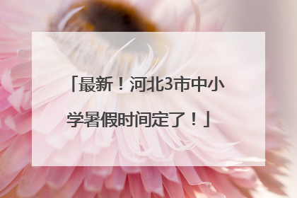 最新！河北3市中小学暑假时间定了！
