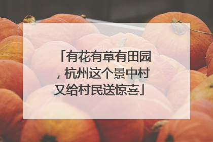 有花有草有田园，杭州这个景中村又给村民送惊喜