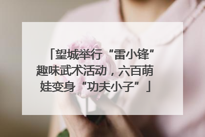望城举行“雷小锋”趣味武术活动，六百萌娃变身“功夫小子”