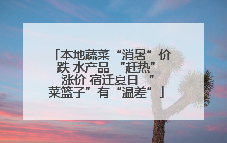 本地蔬菜“消暑”价跌 水产品 “赶热” 涨价 宿迁夏日 “菜篮子”有“温差”