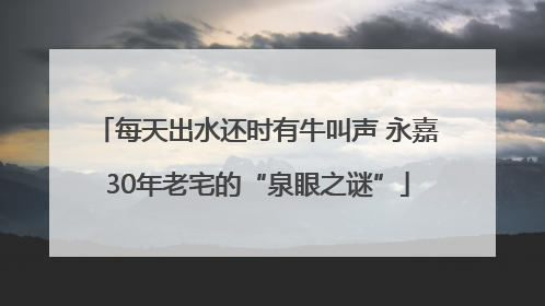 每天出水还时有牛叫声 永嘉30年老宅的“泉眼之谜”