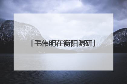 毛伟明在衡阳调研
