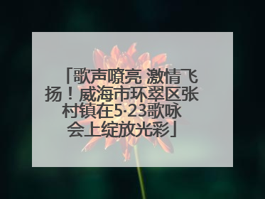 歌声嘹亮 激情飞扬！威海市环翠区张村镇在5·23歌咏会上绽放光彩