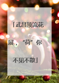 武昌顶流花展，“荷”你不见不散