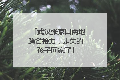 武汉张家口两地跨省接力，走失的孩子回家了