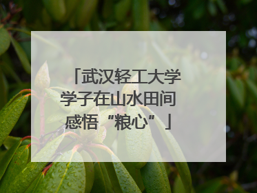 武汉轻工大学学子在山水田间感悟“粮心”