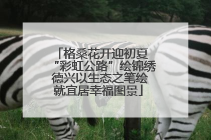 格桑花开迎初夏 “彩虹公路”绘锦绣 德兴以生态之笔绘就宜居幸福图景