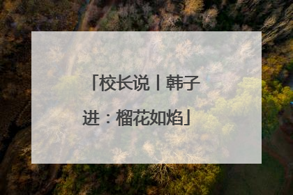 校长说丨韩子进：榴花如焰
