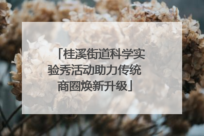 桂溪街道科学实验秀活动助力传统商圈焕新升级