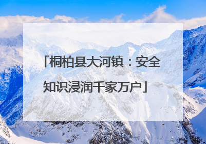 桐柏县大河镇：安全知识浸润千家万户