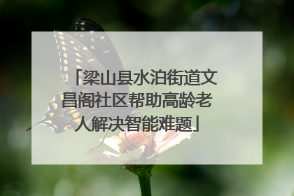 梁山县水泊街道文昌阁社区帮助高龄老人解决智能难题