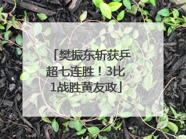 樊振东斩获乒超七连胜！3比1战胜黄友政