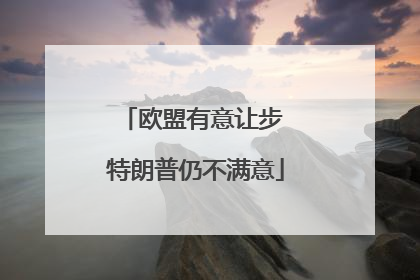欧盟有意让步 特朗普仍不满意