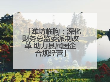 潍坊临朐：深化财务总监委派制改革 助力县属国企合规经营
