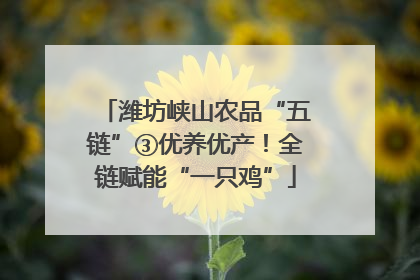 潍坊峡山农品“五链”③优养优产！全链赋能“一只鸡”