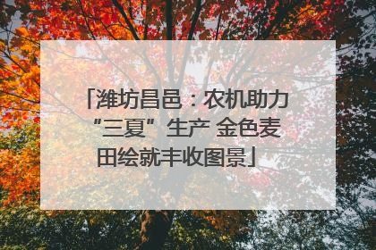 潍坊昌邑：农机助力“三夏”生产 金色麦田绘就丰收图景