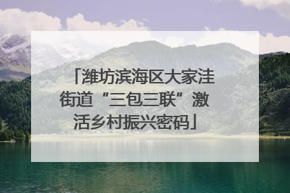 潍坊滨海区大家洼街道“三包三联”激活乡村振兴密码