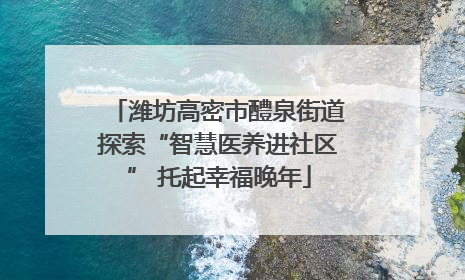 潍坊高密市醴泉街道探索“智慧医养进社区” 托起幸福晚年