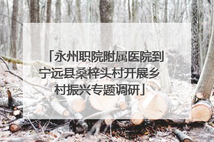 永州职院附属医院到宁远县桑梓头村开展乡村振兴专题调研