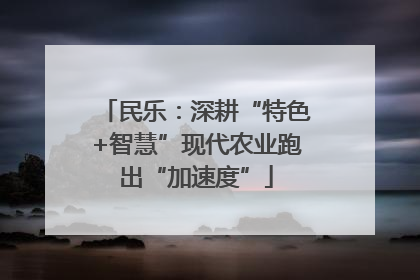 民乐：深耕“特色+智慧”现代农业跑出“加速度”
