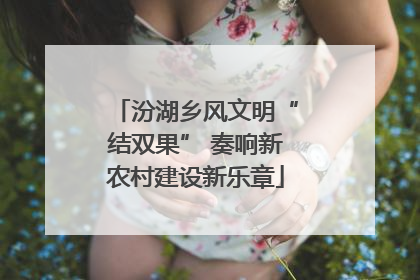 汾湖乡风文明“结双果” 奏响新农村建设新乐章