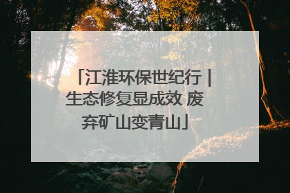 江淮环保世纪行｜生态修复显成效 废弃矿山变青山