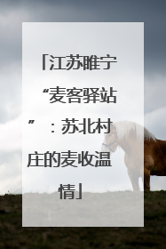 江苏睢宁“麦客驿站”：苏北村庄的麦收温情