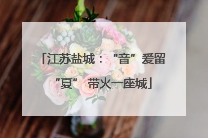 江苏盐城：“音”爱留“夏” 带火一座城