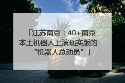 江苏南京：40+南京本土机器人上演现实版的“机器人总动员”