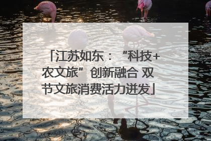 江苏如东：“科技+农文旅”创新融合 双节文旅消费活力迸发